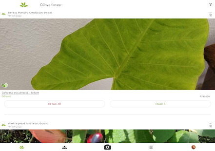 PlantNet Plant Identification Screenshot