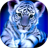 Blue Tiger Live Wallpaper icon