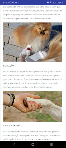 SALVANDO SEU PET Screen 2