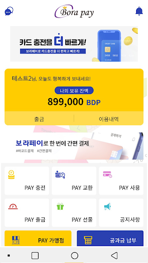 보라페이(BoraPay) Screen 2