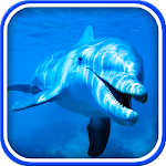 Cover Image of Download Dolphin Live Wallpaper 7.5 APK