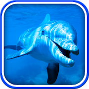 Dolphin Live Wallpaper 7.0 Icon