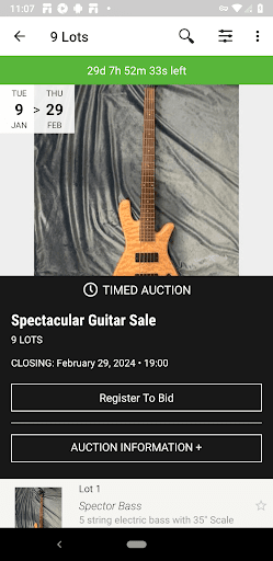 Phoenix Online Auction Screen 2