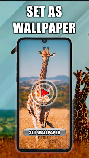 Android application Giraffe Live Wallpaper screenshort