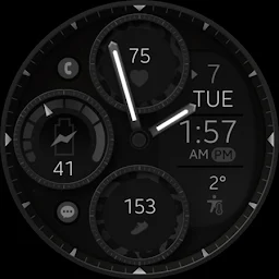 Dream 150 Leopard Watch Face - Screenshot Image