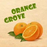 Orange Grove Test icon