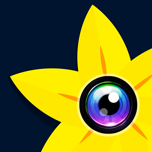Gallery - Photo Gallery App Download on Windows