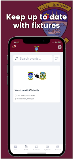 Westmeath GAA Screen 3