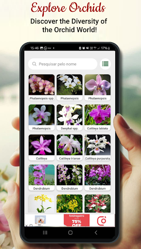 Orchid Catalog