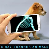 Xray Scanner Animals Prank icon