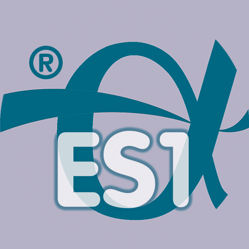 Spanisch - Basis 1 -ES 1 logo