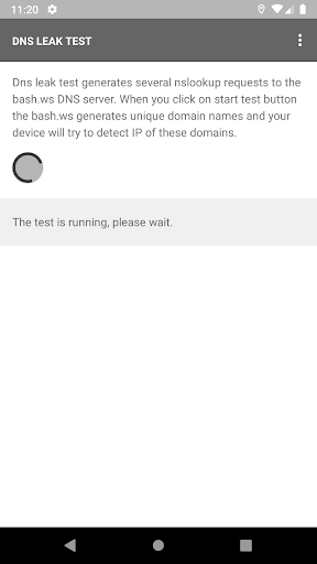 DNS leak test Screen 2