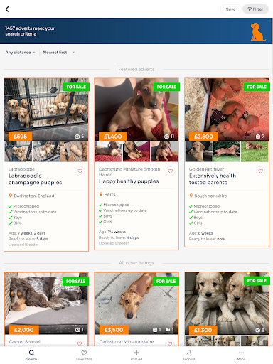 Forever Puppy screenshot 11