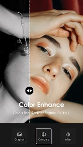 Wink Video Retouching Tool 3