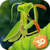 Mantis Insect Life Simulator icon