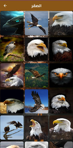 Android application صور حيوانات screenshort