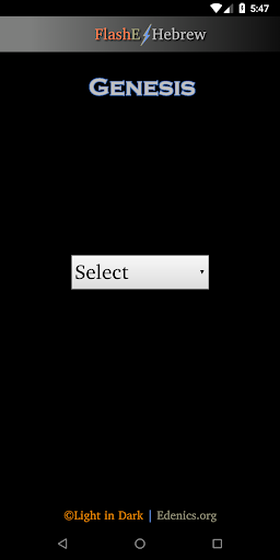 FlashE Hebrew: Genesis Screenshot