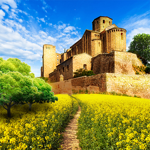 Logo The Lone Survivor - Adventure