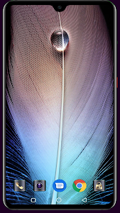 Feather Wallpaper Unknown