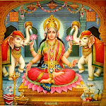 Cover Image of Download Lakshmi Pujan - Marathi  APK