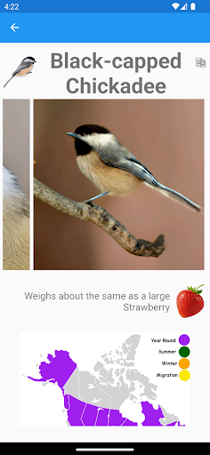 Bird Field Guide for Kids Screen 3