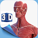 Female Anatomy 3D Anatomy App