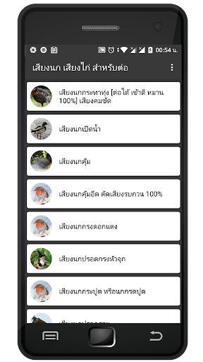 เสียงนกต่อ เสียงไก่ต่อ Screen 3
