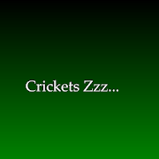 Crickets Zzz