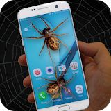 Spider in Phone Joke icon