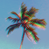 Palm Tree Live Wallpaper Free icon