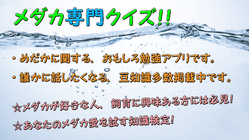 Android application メダカ専門クイズ マニアック難問検定ゲーム screenshort