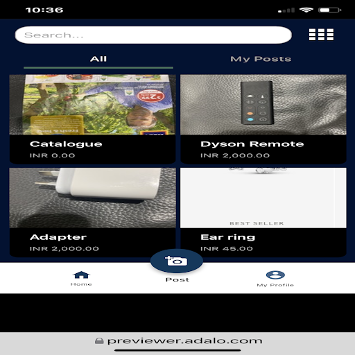 Desi Classifieds Screen 2