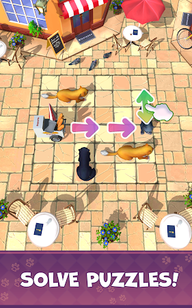 Game screenshot Oh No! Cats! hack