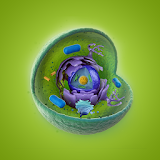 Cell Structure icon