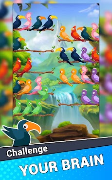 Bird Sort Puzzleのおすすめ画像3