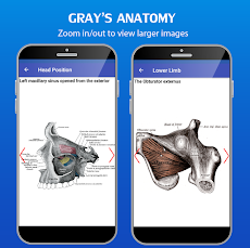 Gray's Anatomy - Anatomy Atlasのおすすめ画像4