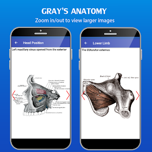 Gray's Anatomy - Anatomy Atlas 4.6 APK screenshots 4