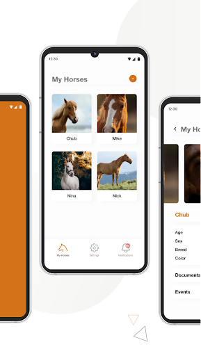 EQUiD Biometric Verification Screen 2
