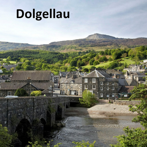 Dolgellau logo