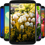 Cover Image of Скачать flower wallpaper  APK