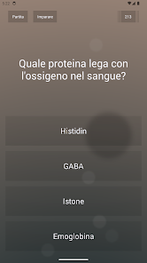 Immagine screenshot