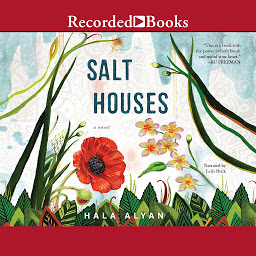Obraz ikony: Salt Houses
