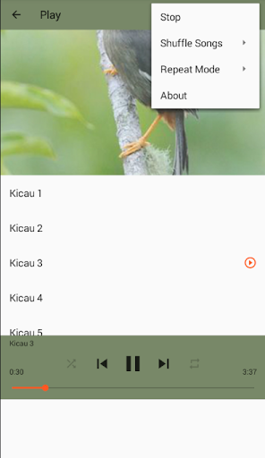 Kicau Poksay Mandarin