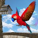 Cover Image of Télécharger Virtual Pet: Parrot Simulator  APK