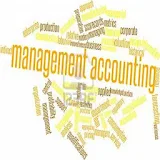 Management Accounting icon