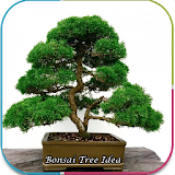 Bonsai Tree Ideas icon