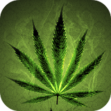 Weed Wallpapers HD icon