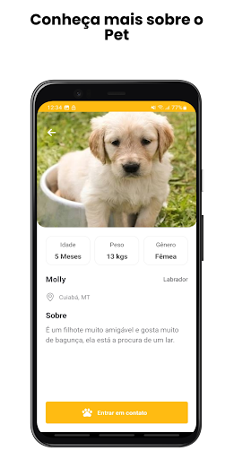 Pet Rescue: Adote um Pet Screen 3