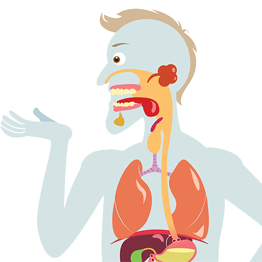 Digestive System logo