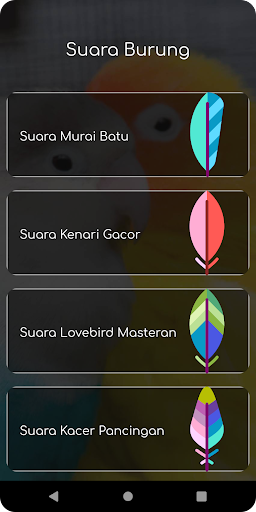 App preview